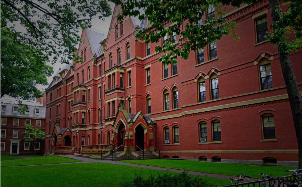 university