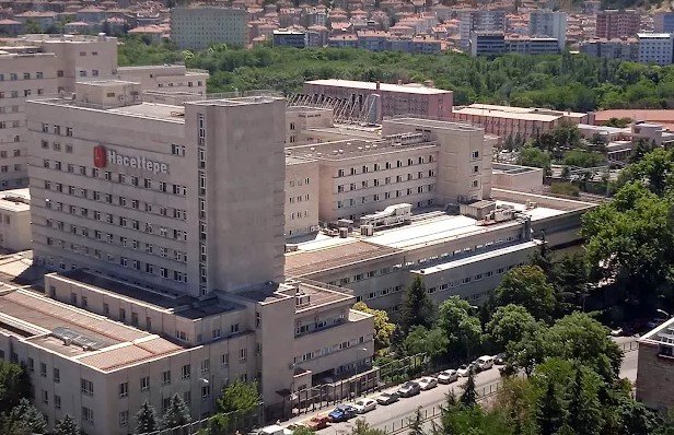 Hacettepe University